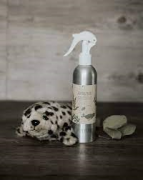 SPRAY REGOLATORE CUOIO CAPELLUTO FOCALIZZATI - ETHICAL GRACE